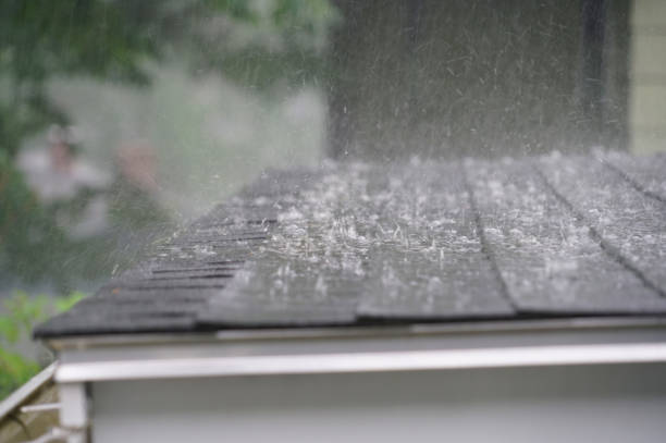 Best Roof Leak Repair  in Morgantown, MS
