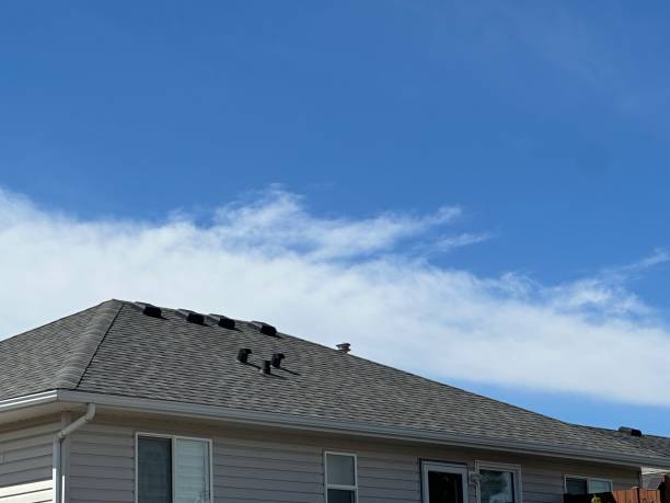 Best Wood Shake Roofing  in Morgantown, MS